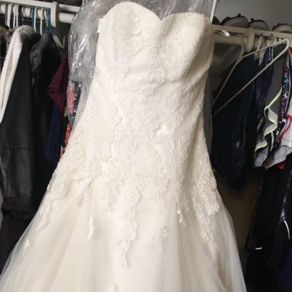 Pronovias wedding gown/dress